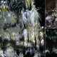 Illustration for article titled This Bizarre Installation Mimics a Real Biological Ecosystem